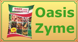 Oasis Zyme